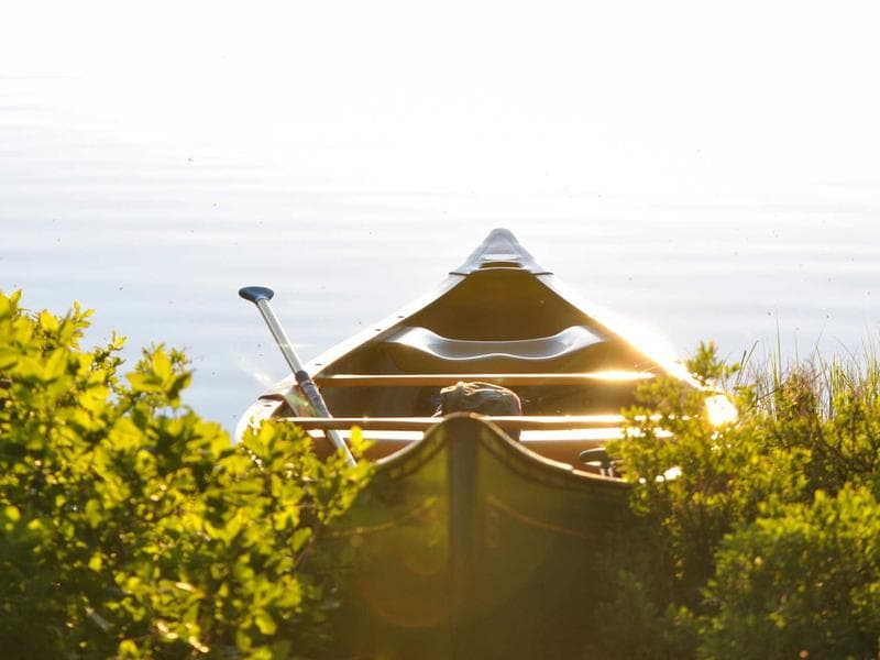 SEO 基础入门：程序员的出海流量实战